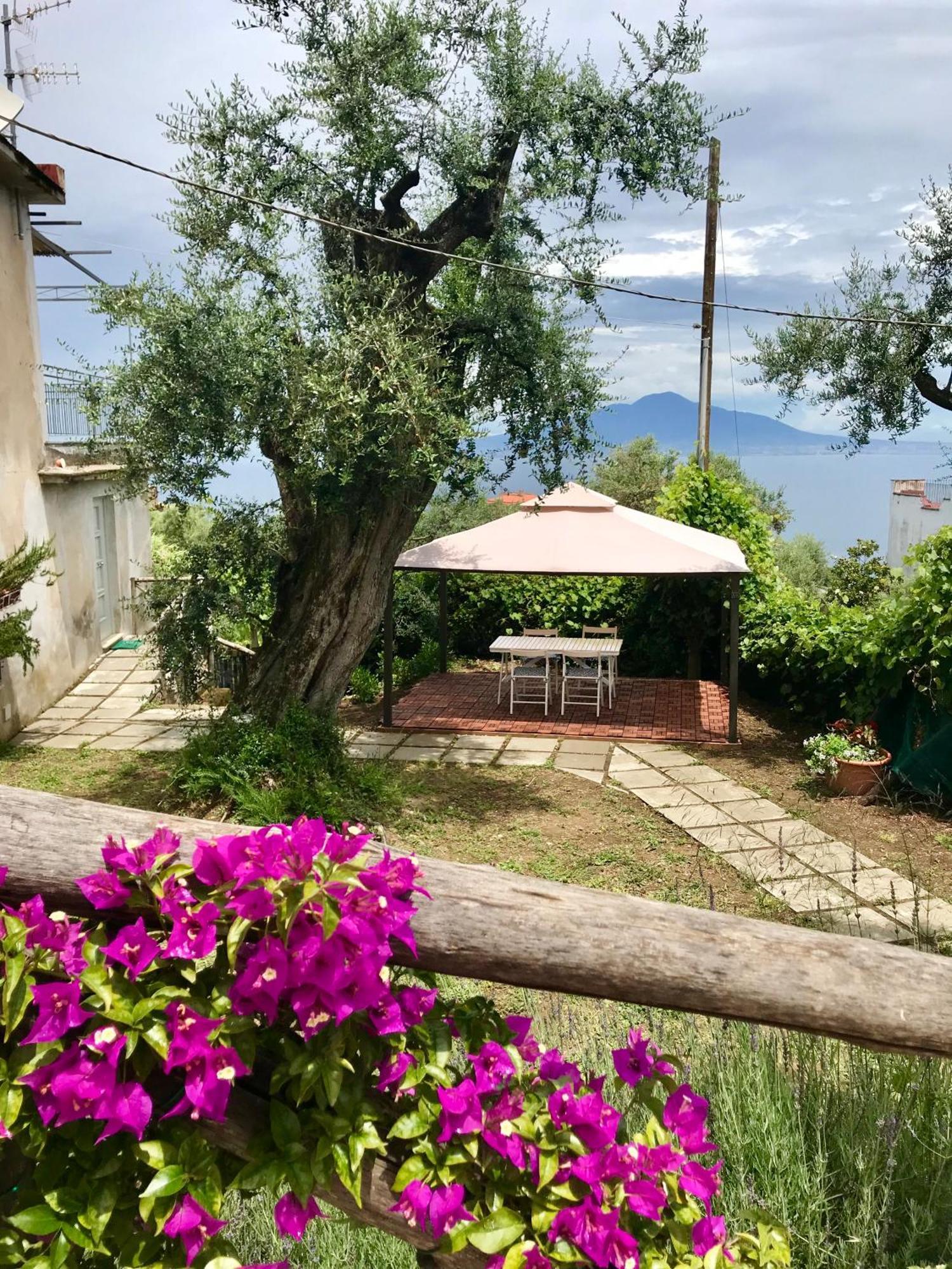 Sorrento Garden Exterior foto