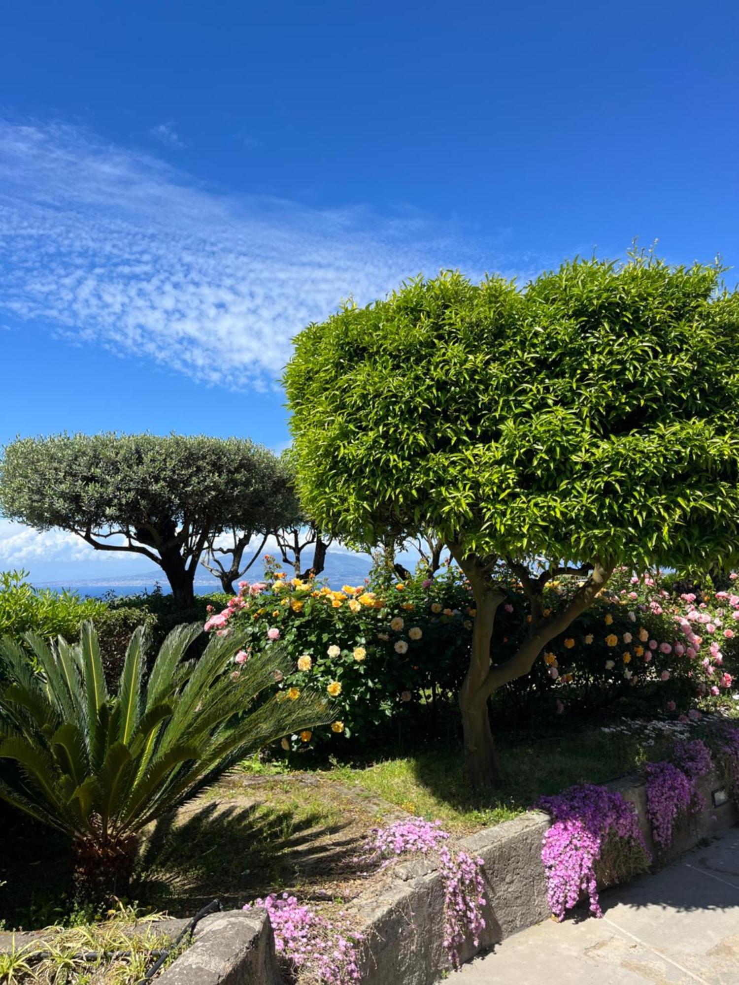 Sorrento Garden Exterior foto